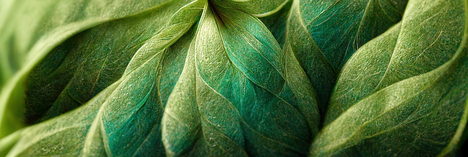 Plant fibres: all-rounders for innovative product developments Plant fibres: all-rounders for innovative product developments